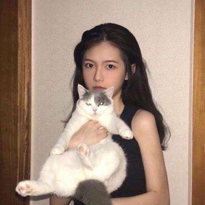 我的像素战场最新版下载